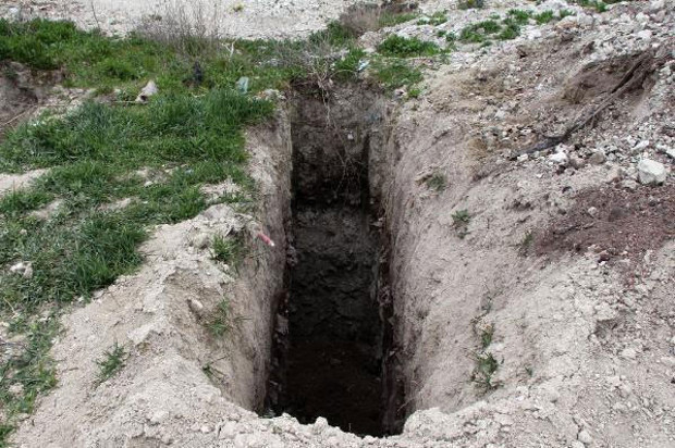 Burdur'da köpek barınağında katliam - Resim: 0