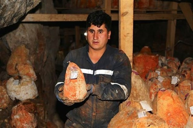 'Mağara Rokforuna' Fransız ilgisi! - Resim: 2