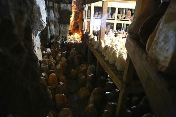 'Mağara Rokforuna' Fransız ilgisi! - Resim: 4