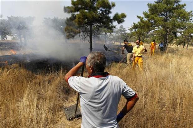 Atatürk Orman Çiftliği'nde yangın - Resim: 3