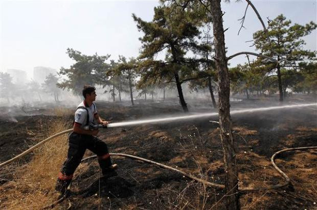 Atatürk Orman Çiftliği'nde yangın - Resim: 4
