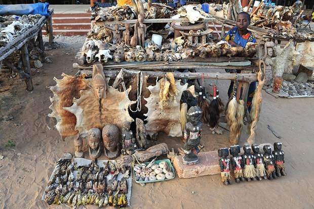 Büyücü ve şarlatanların iskelet pazarı - Resim: 3