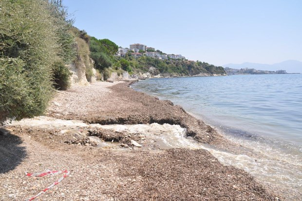 Kanalizasyon denize karışınca.. - Resim: 3