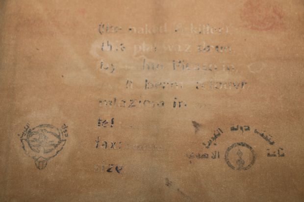 Pablo Picasso'nun eseri Diyarbakır'da çıktı - Resim: 0