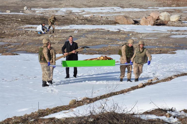 Ordu'da damat dehşeti: Kayınpederini öldürüp ormana attı! - Resim: 0