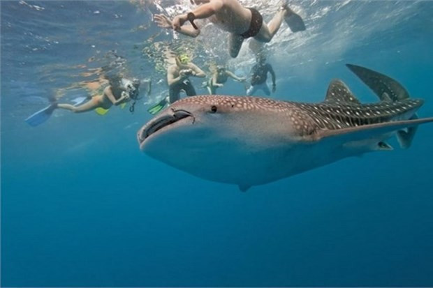 Adrenalin sevenler dikkat! İşte maceranın 41 adresi... - Resim: 4