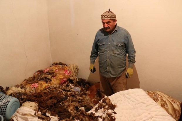 Aç kalan ayı eve girdi - Resim: 1