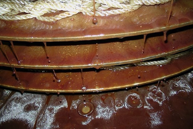 Türkiye'de üretilip dünyaya satılıyor bu sütün kilosu 30 lira! - Resim: 4