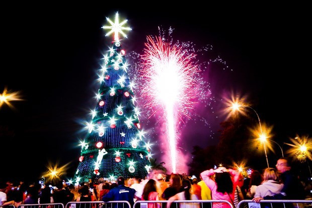 Brezilya'da dev yılbaşı ağacı herkes sokakta - Resim: 3