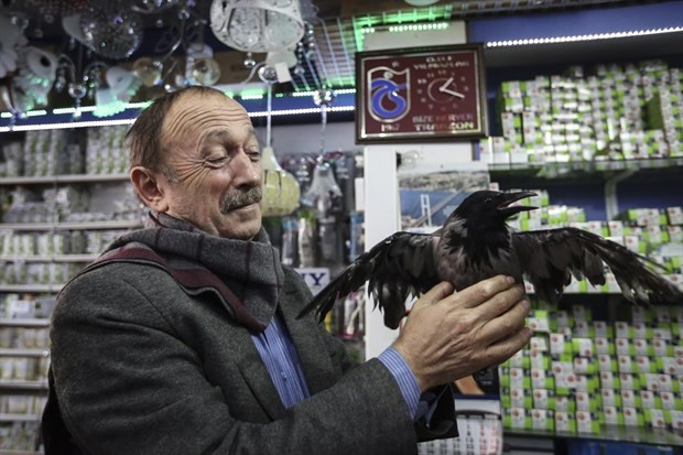 Kargası ölünce kansere yakalandı - Resim: 3