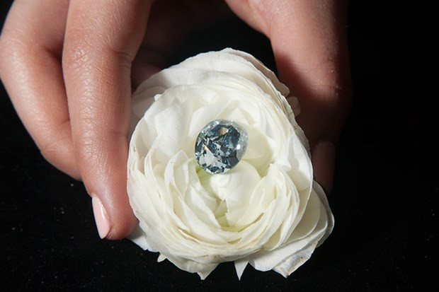 30 milyon dolarlık taş - Resim: 2