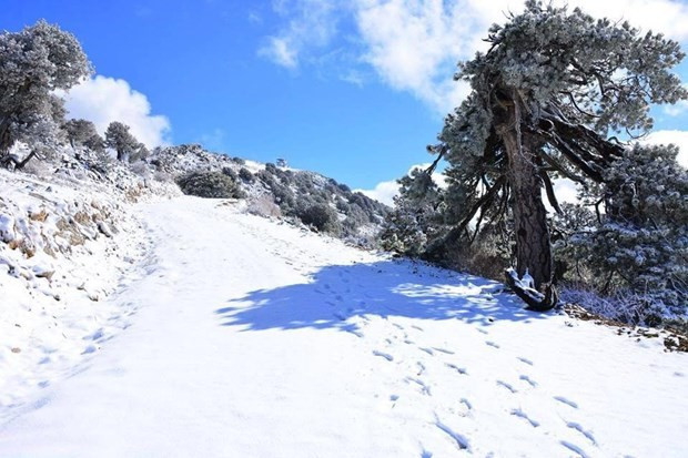 Mayıs ayında kar sürprizi - Resim: 2