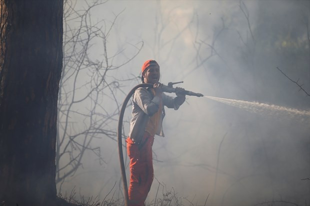 Antalya Kumköy'de orman yangını! - Resim: 2