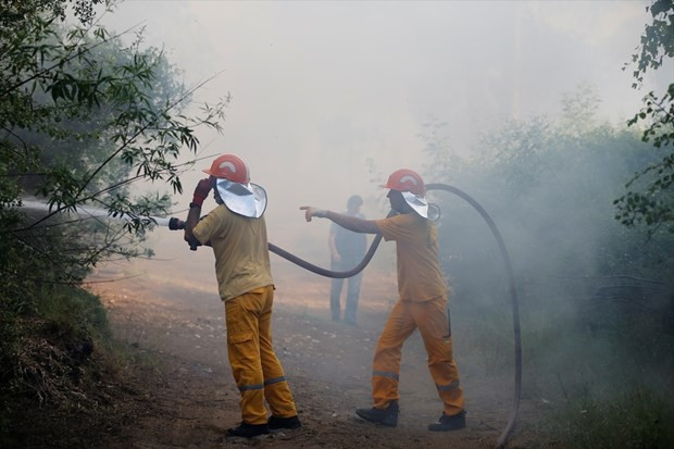 Antalya Kumköy'de orman yangını! - Resim: 4