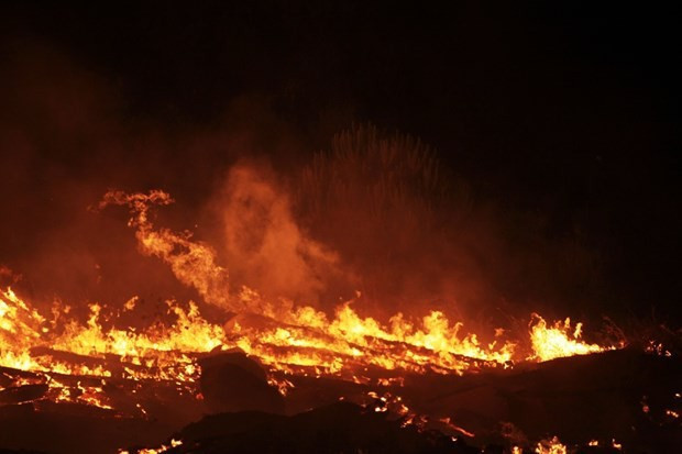Bodrum'da 200 hektar cayır cayır yandı - Resim: 2