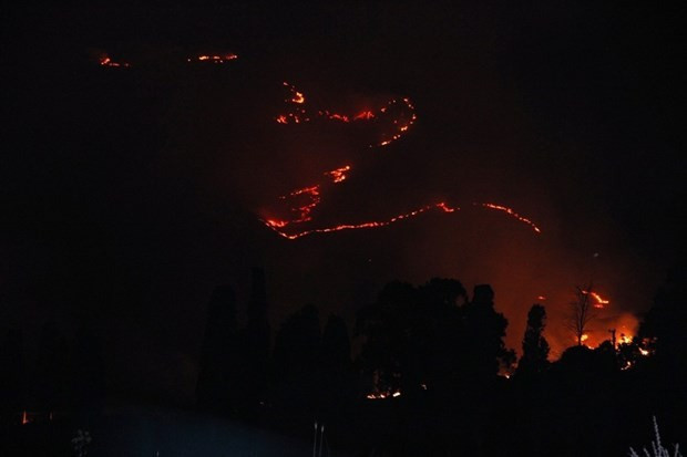 Bodrum'da 200 hektar cayır cayır yandı - Resim: 3