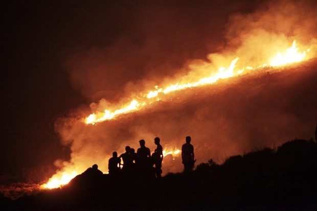 Bodrum'da 200 hektar cayır cayır yandı - Resim: 4