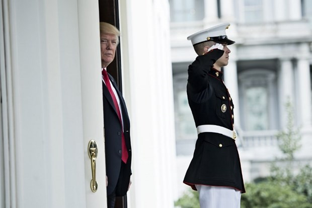 Köpekbalığı sokağa kadar geldi böyle kare görülmedi - Resim: 4