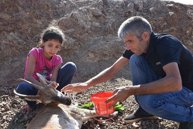 Çobandan 'helal olsun' dedirten hareket!  - Resim: 3