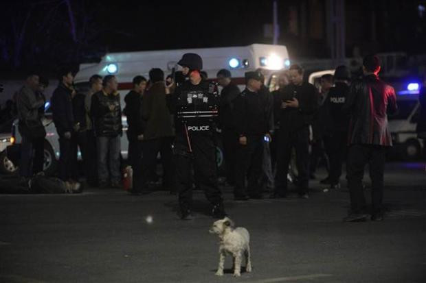 Palalı saldırgan dehşet saçtı: 27 ölü - Resim: 3