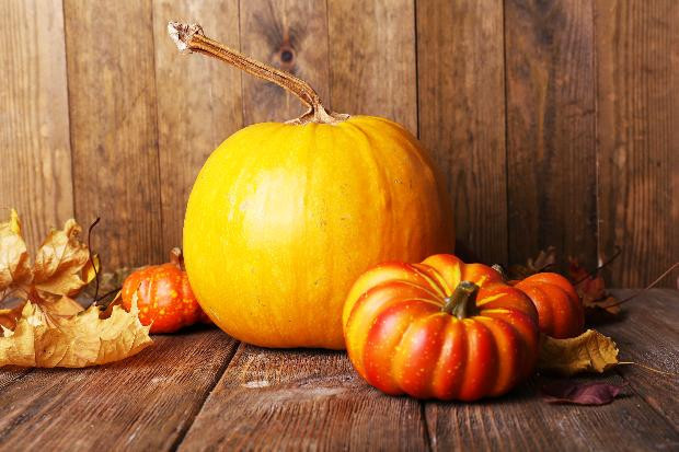 Balkabağını cinsel güç için bu aylarda yiyin! - Resim: 2