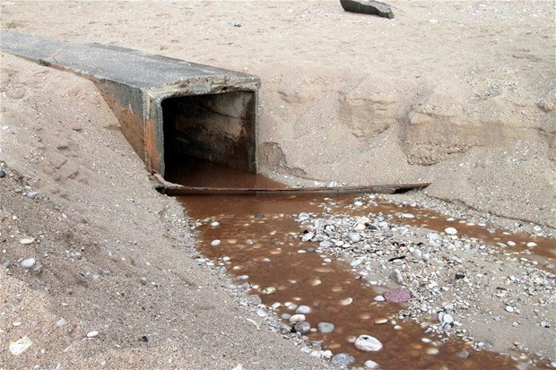 Ölüdeniz kahverengi oldu - Resim: 4