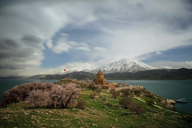 Akdamar Adası'nda çiçekler açtı - Resim: 4