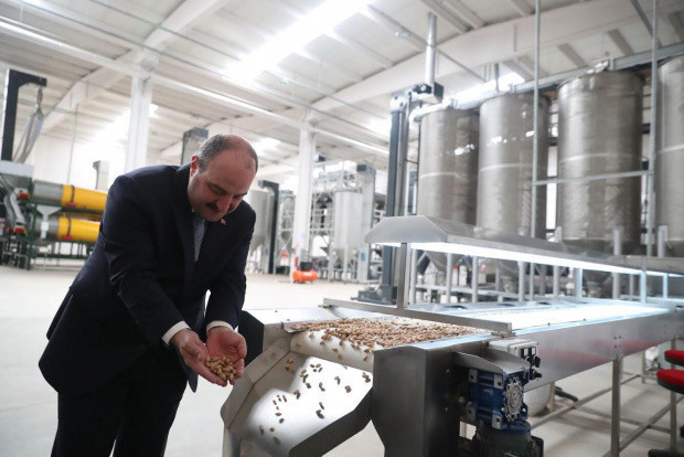 Sanayi ve Teknoloji Bakanı Mustafa Varank açıkladı Siirt fıstığı dünyaya açılıyor - Resim: 1