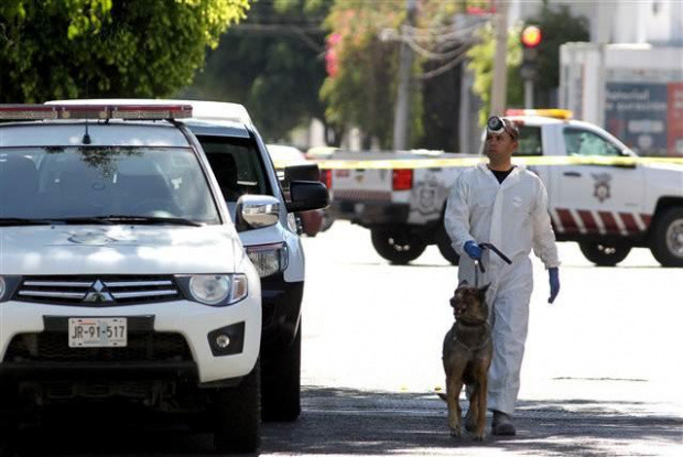 Meksika'da gizli mezarlarda 45 ceset bulundu - Resim: 0