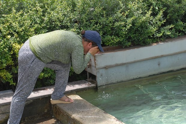 İzmir resmen kavruluyor - Resim: 3