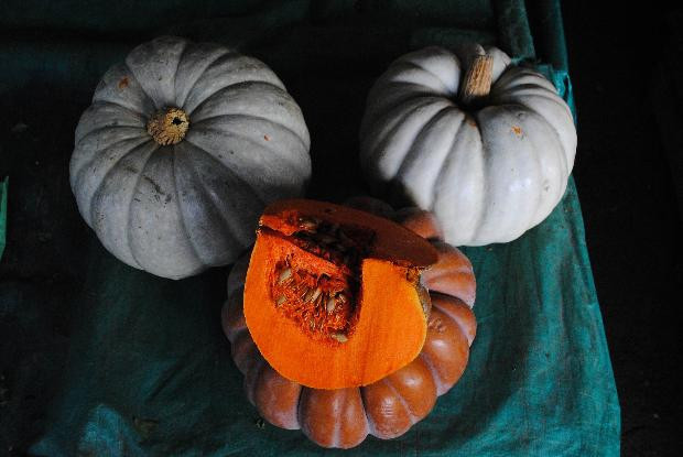 Balkabağını cinsel güç için bu aylarda yiyin! - Resim: 1