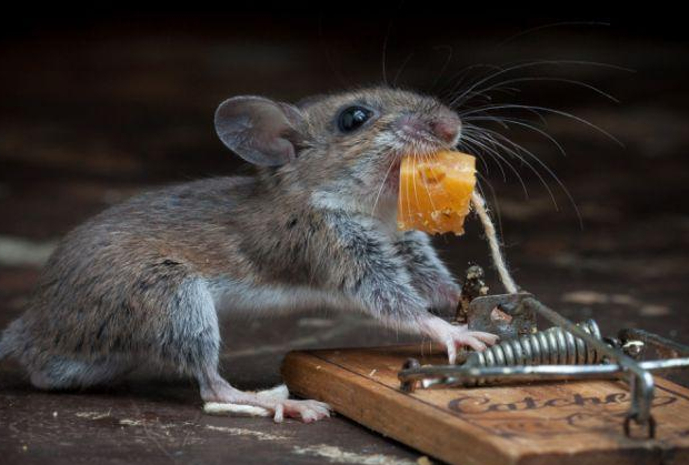 Tam o anda çekildi - Resim: 4