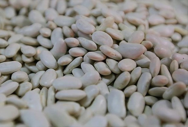 Türkiye hangi yiyeceği nereden alıyor? En kötüsü sarımsak! - Resim: 3