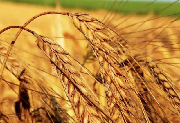 Bu şekilde beslenenler dikkat! Kanser olabilirsiniz - Resim: 6