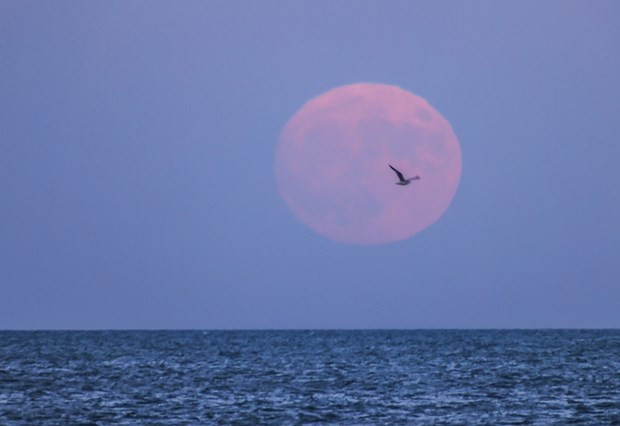 Dünyada 68 yıl sonra ilk işte harika fotoğraflar - Resim: 1