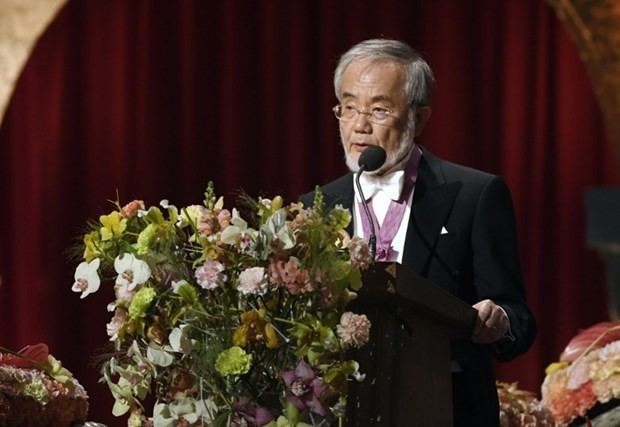 2016 Nobel ödüllerinde Bob Dylan esrarı törene gelmedi - Resim: 4