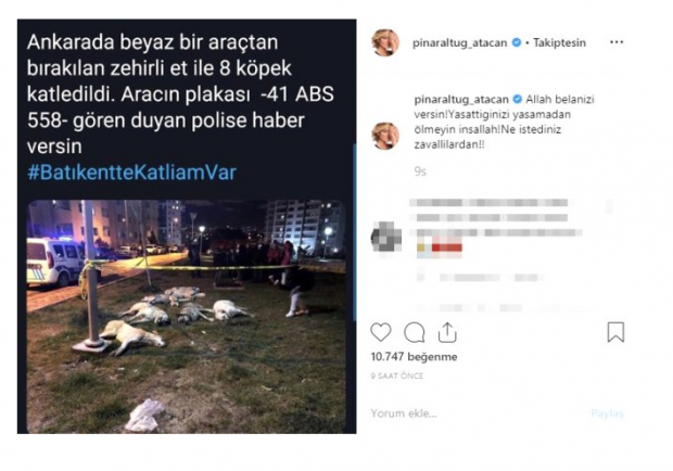Mansur Yavaş köpek katliamına sessiz kalmadı! Ünlü isimlerden mesaj yağdı - Resim: 1