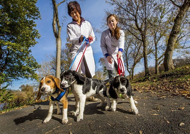 Tıpki insanlar gibi bilim bunuda başardı! - Resim: 2