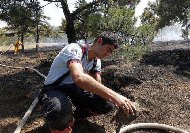 Atatürk Orman Çiftliği'nde yangın - Resim: 2