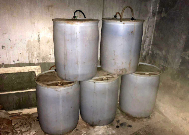 Mersin'de şaşkına çeviren manzara! Ahırda üretmişler - Resim: 0