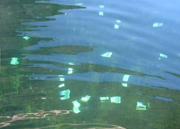 Nehir'de 100 bin Euro bulundu! - Resim: 3