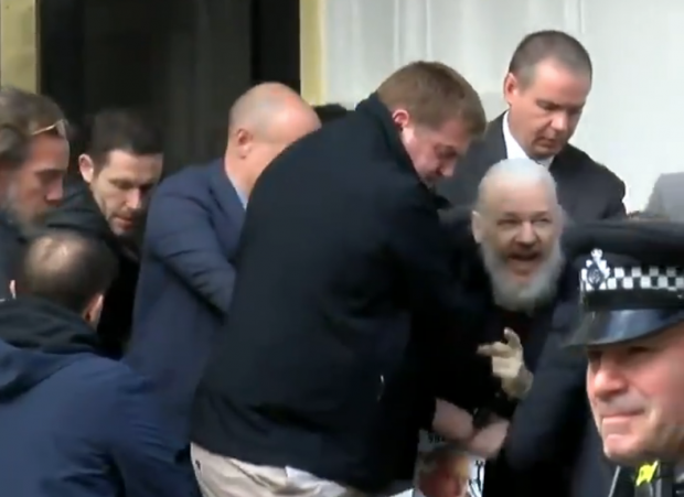 julian assange gözaltı