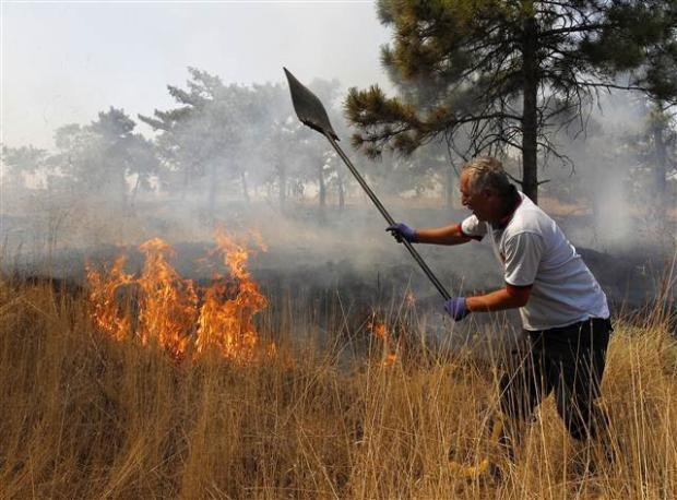 Atatürk Orman Çiftliği'nde yangın - Resim: 1
