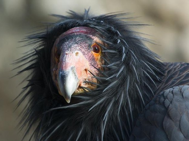 Sana ne oldu böyle? - Resim: 3