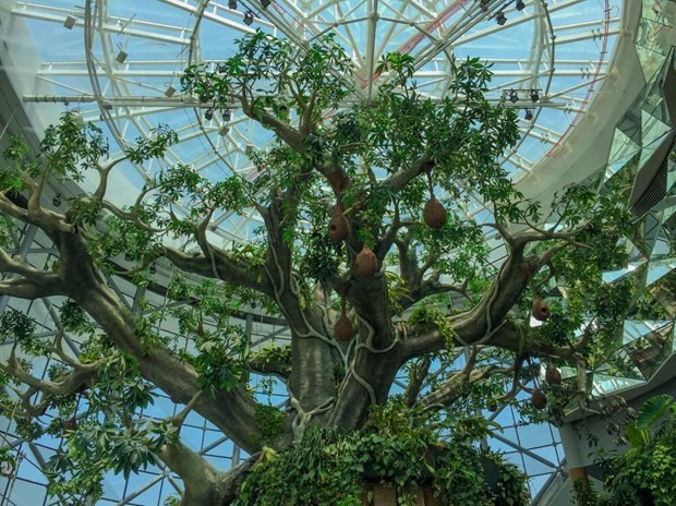 Dubai Dünyanın en yeşil kenti olacak - Resim: 2