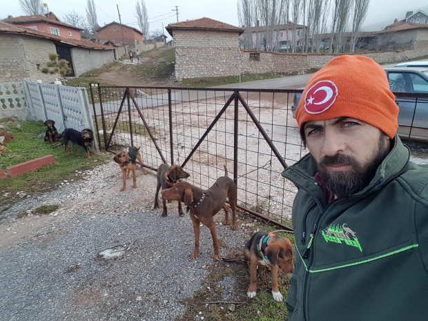 Bu kez Kütahya'da katliam 10 köpek öldü - Resim: 0