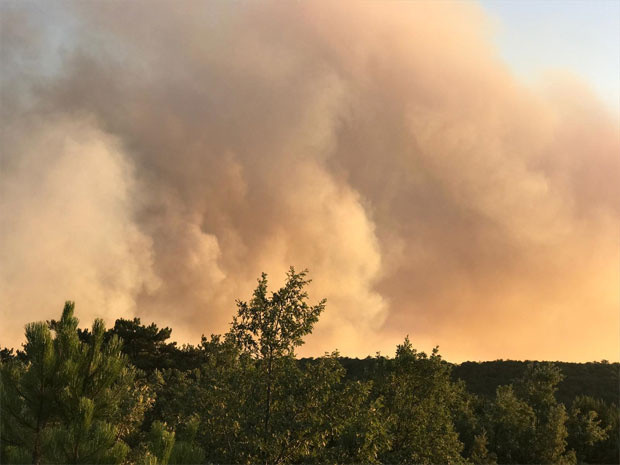Eskişehir Seyitgazi ilçesinde orman yangını - Resim: 0