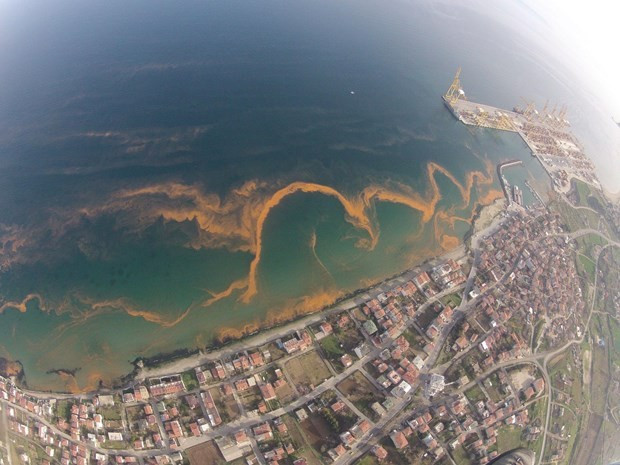 Tekirdağ sahilleri kızıla döndü - Resim: 1