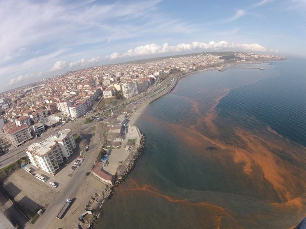 Tekirdağ sahilleri kızıla döndü - Resim: 3