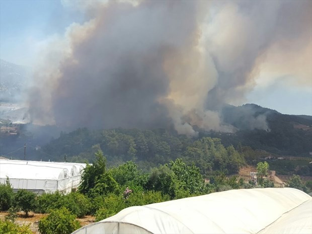 Antalya Kumluca alev alev yanıyor - Resim: 4